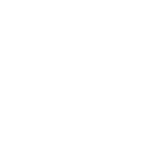 Reitsport