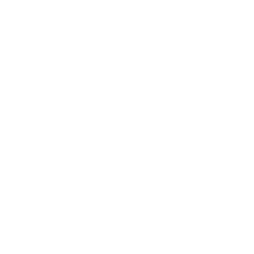 Schwimmsport