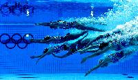 Schwimmsport